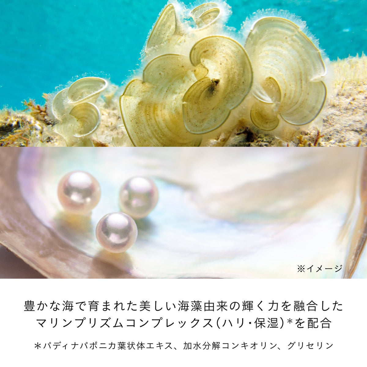 アンベリスールデクラ Default Title 商品画像8