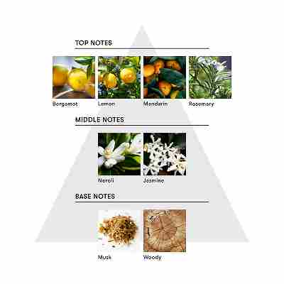 マインドフル バス エクスペリエンス ニューチャプター