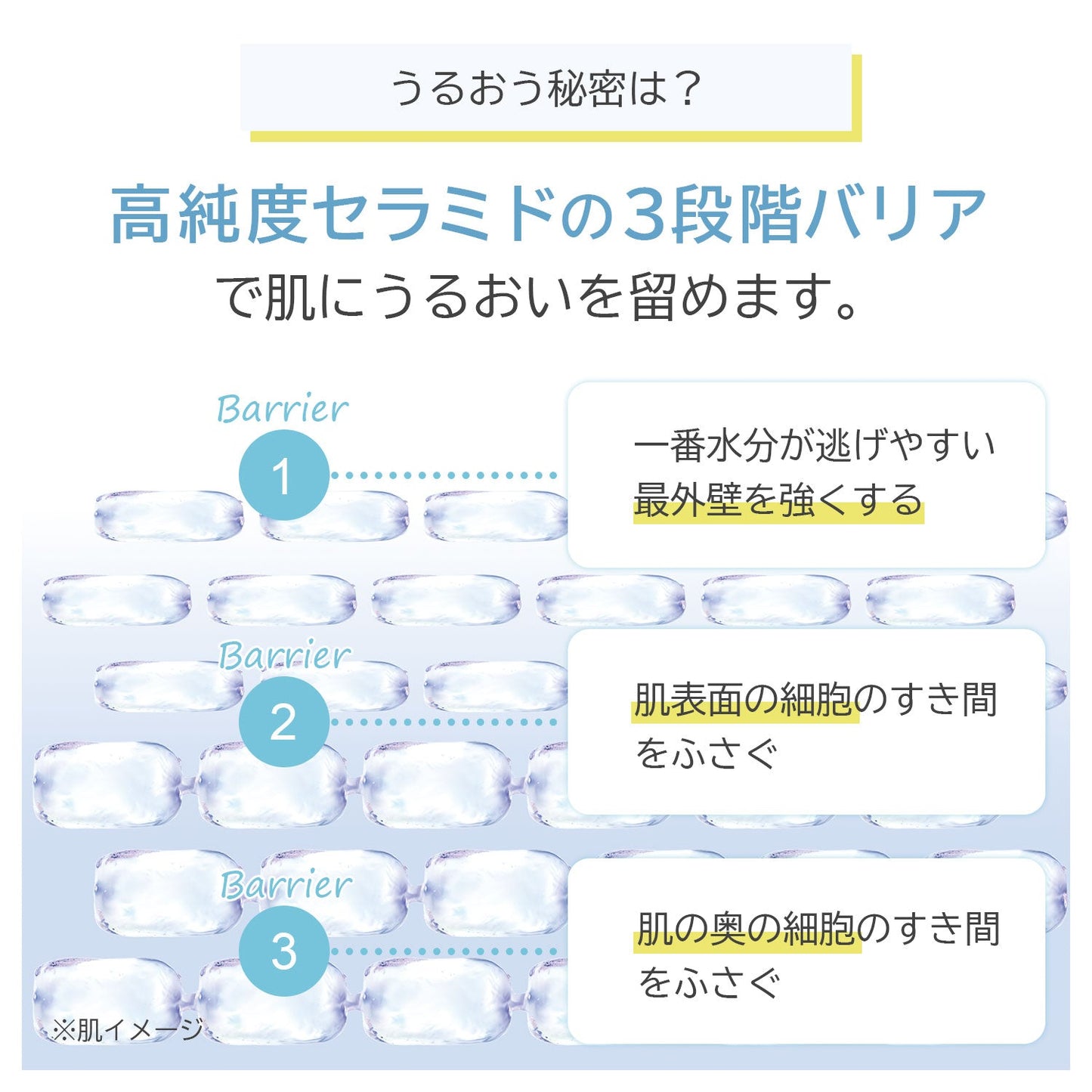 オルビス ディフェンセラ　(1.5g×30包)
