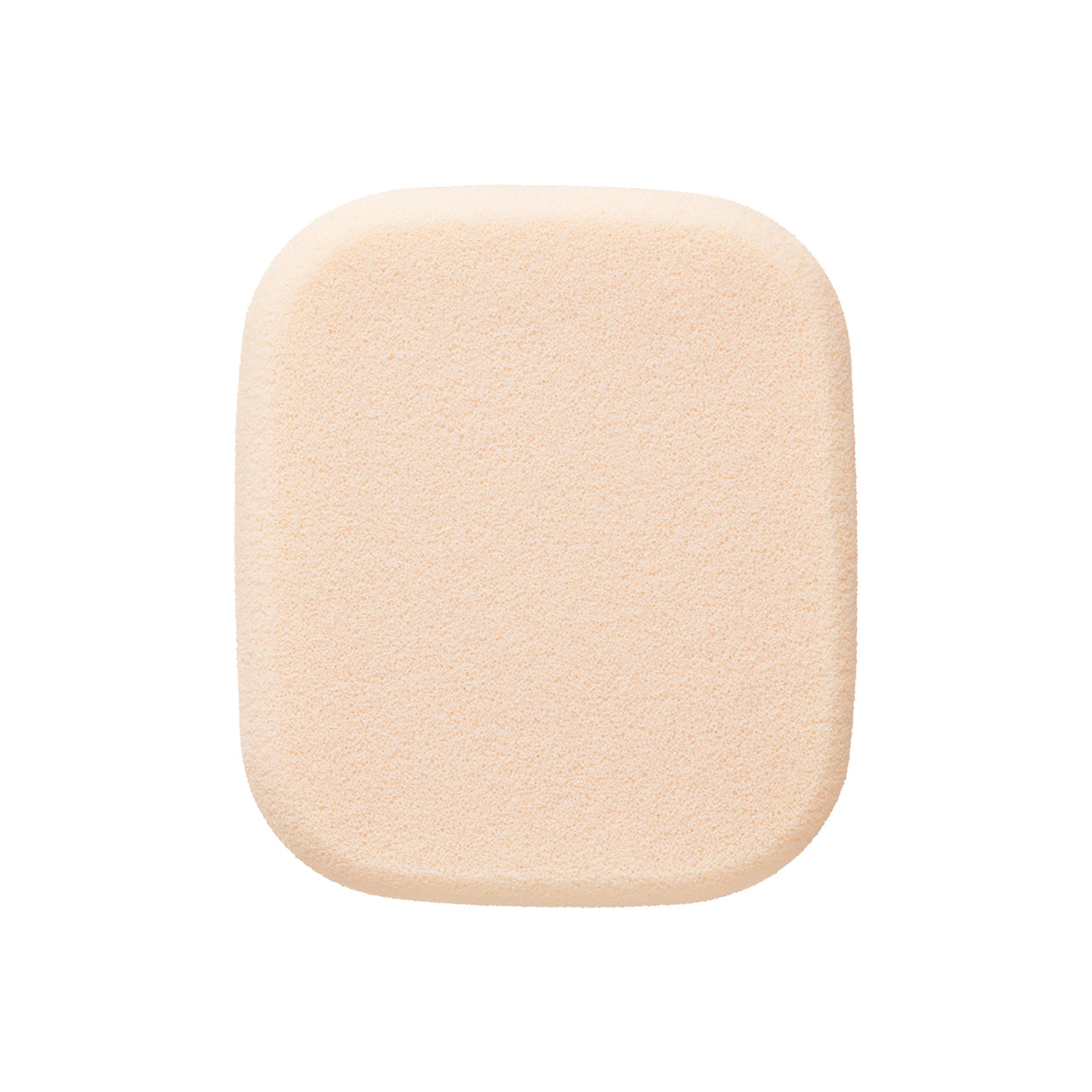 スポンジ（タンプードルエクラⅡ） Default Title 商品画像1
