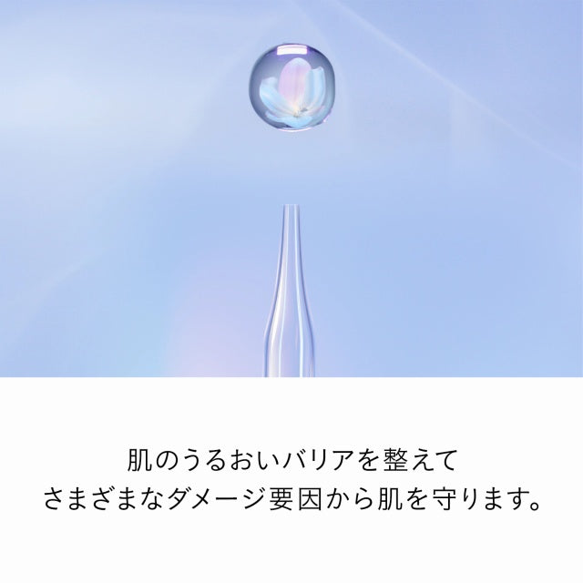 6　ル・セラムⅡ　ラージ(Ｒ)　ホリデーキット2026