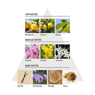 マインドフル フレグランスフェムテックパフューム /Bliss Flow LP