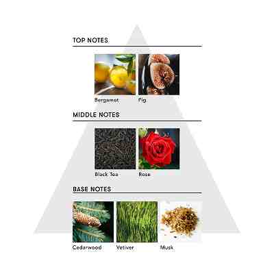 マインドフル フレグランス シグネチャーパフューム ブラックストーン Sｻｲｽﾞ