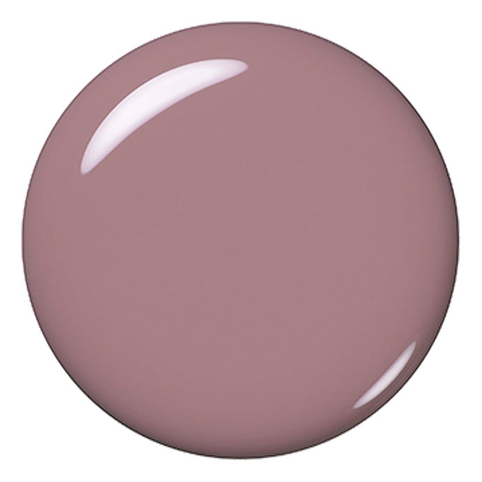 エクシア ヴェルニ 26