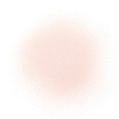 ルースパウダー 00 translucent