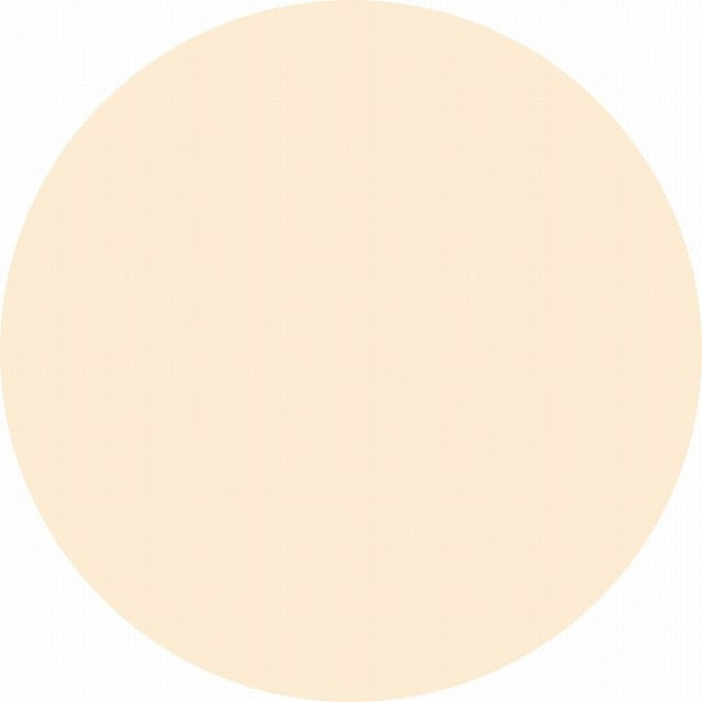 オルビス ルースパウダー　リフィル（粉のみ・袋入り）