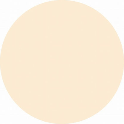 オルビス ルースパウダー　リフィル（粉のみ・袋入り）