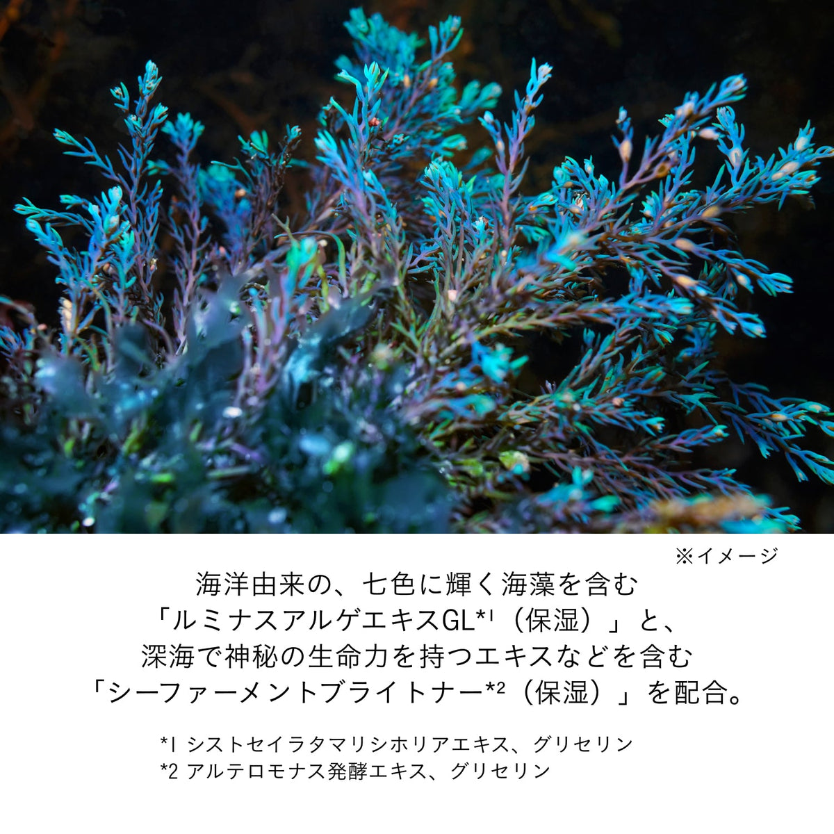 セラムエクラＳ Ⅱ 本体 商品画像5