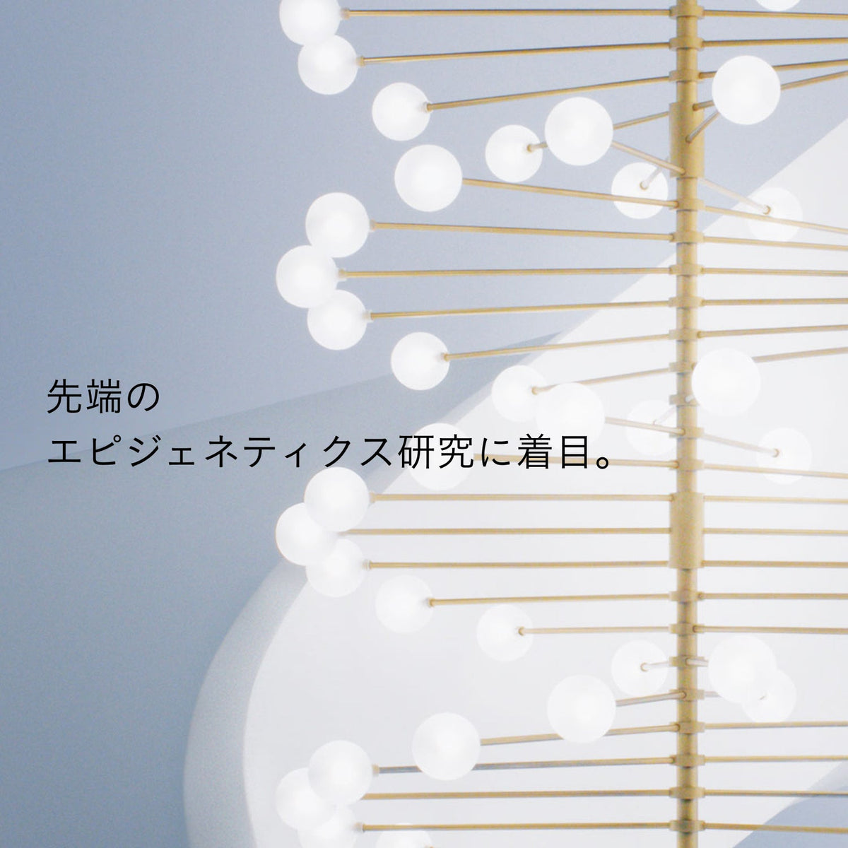 セラムエクラＳ Ⅱ レフィル 商品画像4