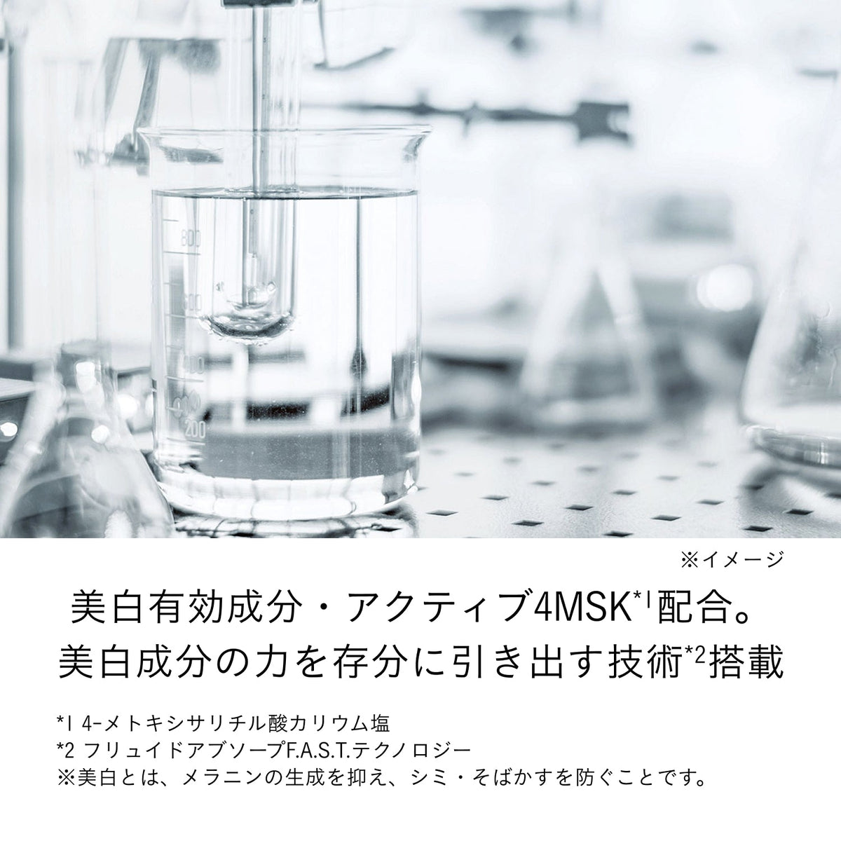 セラムエクラＳ Ⅱ レフィル 商品画像6