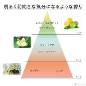 リプレニッシングチャームズ